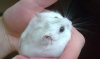 avatar_Xinia
