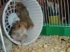 DSC07667.JPG