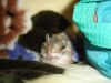DSC07750.JPG