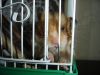 DSC08198.JPG