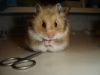 DSC08222.JPG