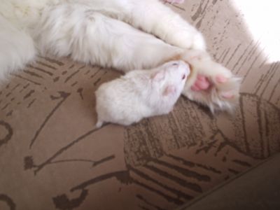�������, ����� ������� ���� � ������ �������