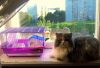 100_9024.gif