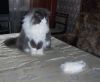 100_9116.gif