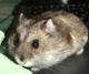DSC08286~0.JPG